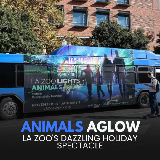 Celebrating Thanksgiving